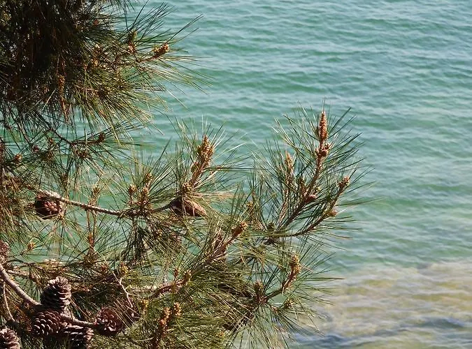 Everlasting Sea Lägenhet *